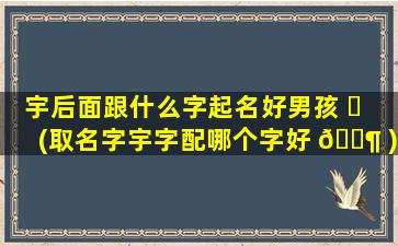 宇后面跟什么字起名好男孩 ☘ (取名字宇字配哪个字好 🐶 )